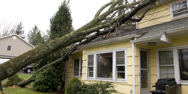 Storm Damage in Henderson County, North Carolina